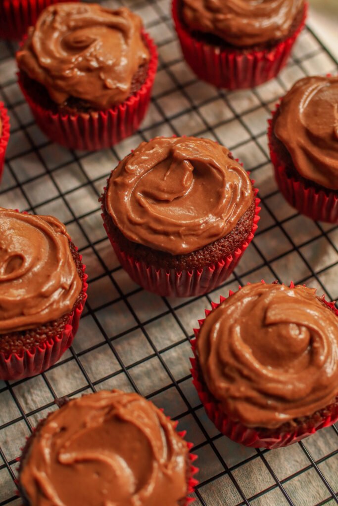 chocolate cupcakes