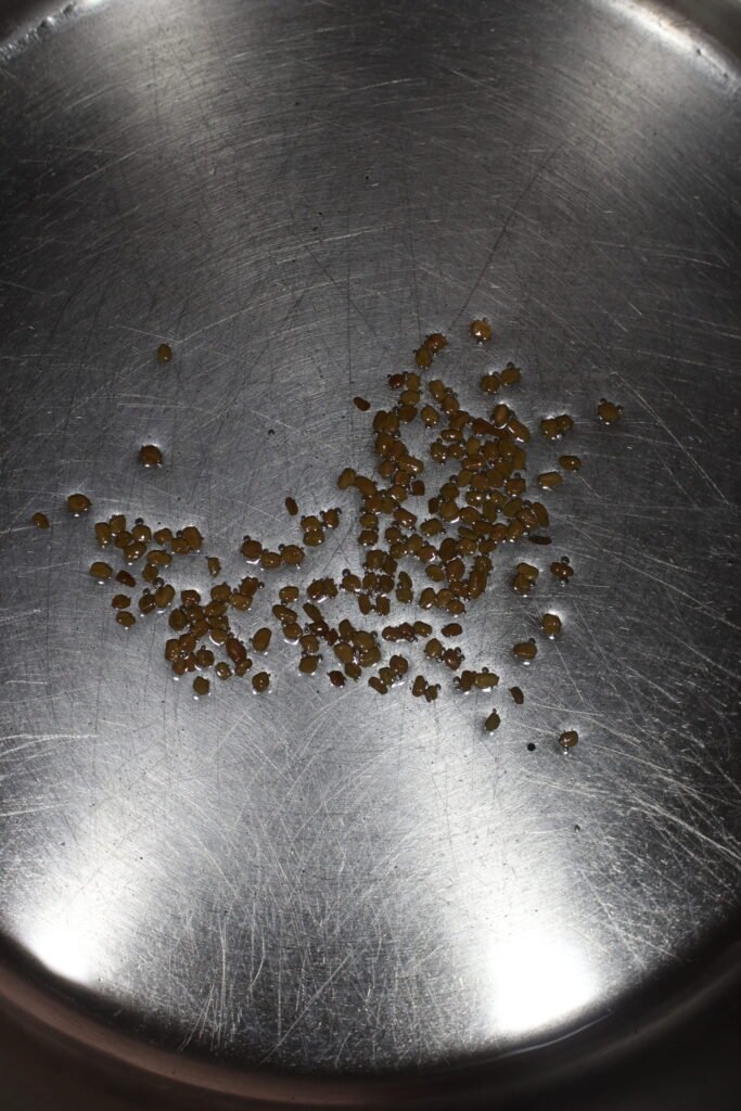 Frying methi seeds in oil in a pot